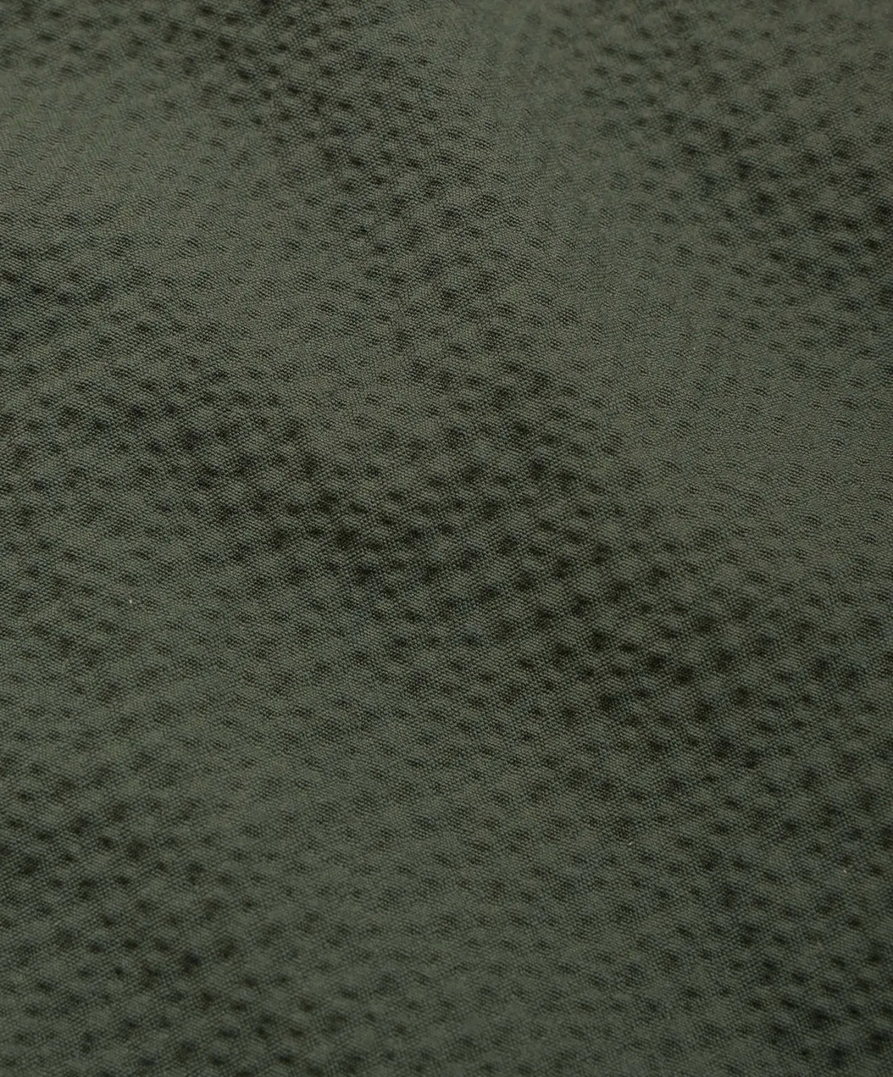 Howlin Coach Your Jacket - Greenish Seersucker Shop