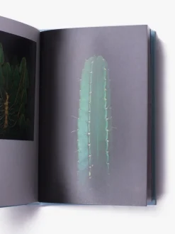 Magazines Strange Plants - Issue 3 Cheap