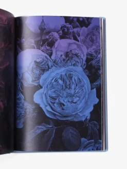 Magazines Strange Plants - Issue 3 Cheap
