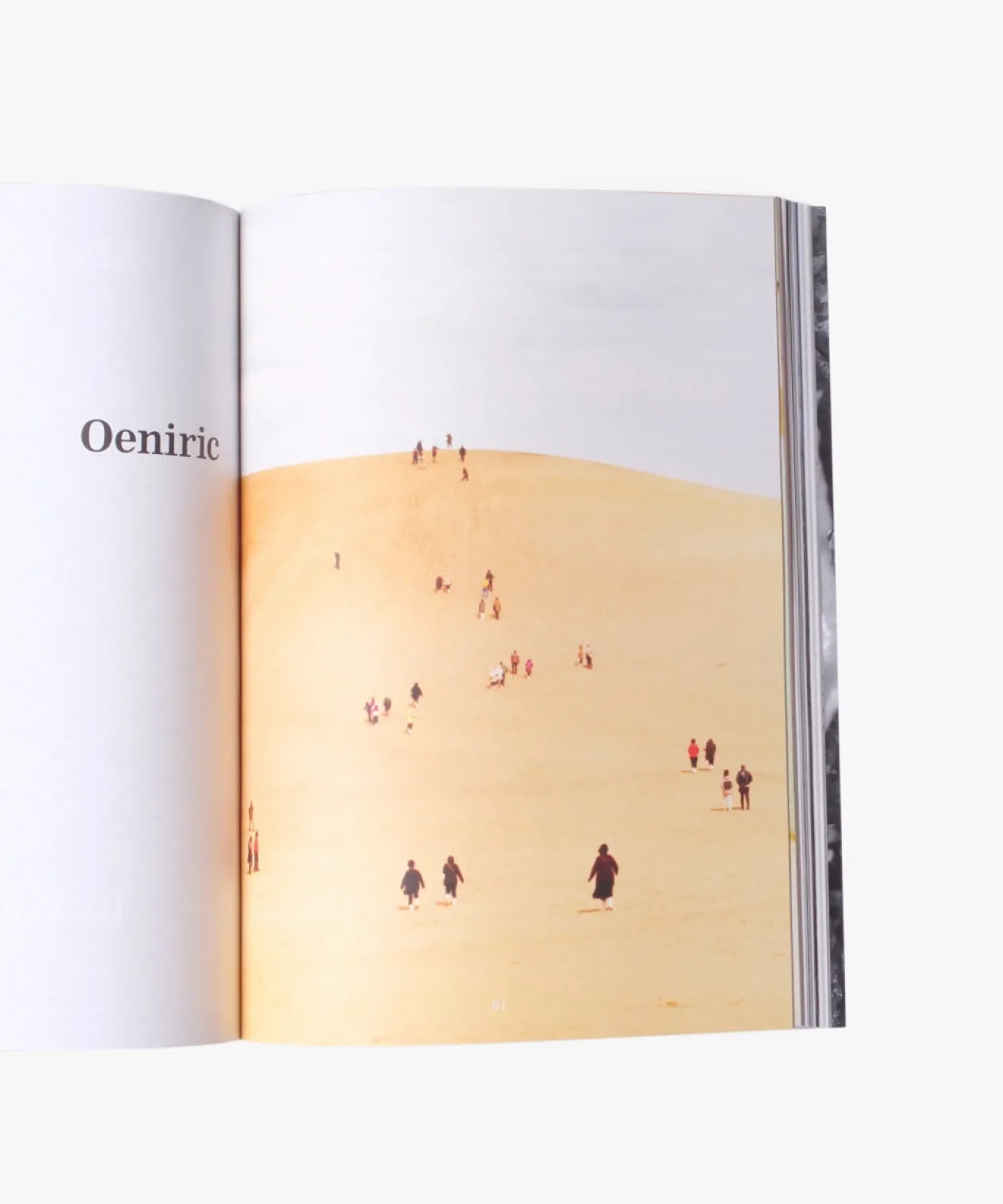 Magazines The Plant Issue 11 Cheap