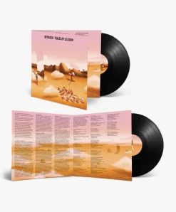 Music Various - Traces of Illusion compiled by Skyrager LP Cheap